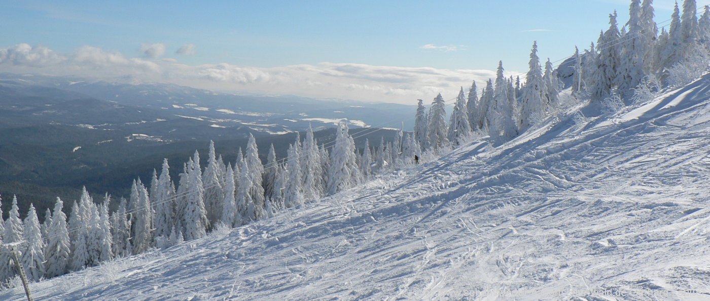 Freizeitangebote beim Arber Wintersport mit tollem Ausblick beim Skifahren